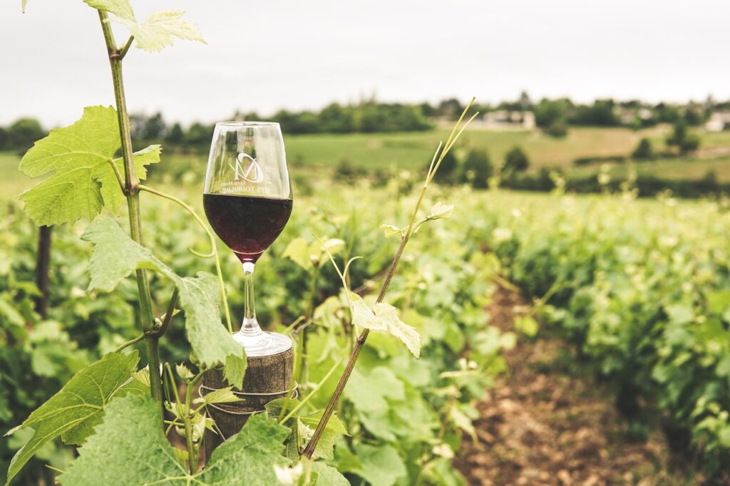 wine tasting tours in france